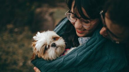 5 Ways Swimming Can Benefit Your Dog