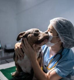 How to Find the Best Veterinary Specialists in Your Area